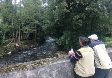 Tocht Stappen Ham-sur-Heure-Nalinnes - Ham sur heure  - Photo