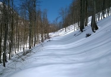 Percorso A piedi  - Brušane - Ripište - Photo