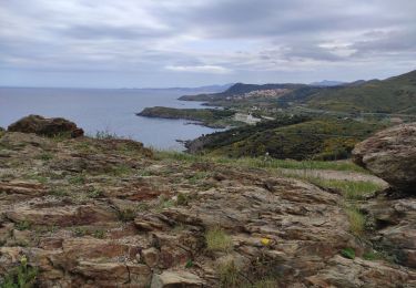 Excursión Senderismo Banyuls-sur-Mer - banyuls cap rederis - Photo