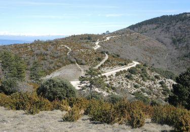 Randonnée Marche Vaugines - PF-Vaugines - Le Mourre Nègre à partir de Vaugines - Photo