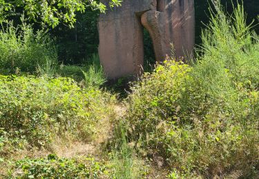 Randonnée Marche Oberhaslach - Hohenstein, Petit et Grand Ringelstein - Photo