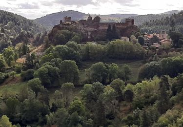 Trail Walking Arlempdes - Arlempdes Montagnac depuis Freceney - Photo