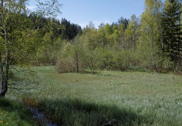 Percorso A piedi Edelschrott - Wanderweg 33 - Photo