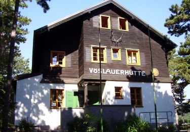 Tocht Te voet Gemeinde Bad Vöslau - Bad Vöslau B5a Lusthausboden - Photo