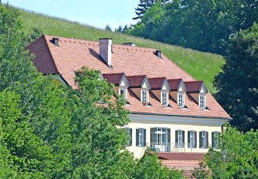 Tocht Te voet Sankt Andrä-Höch - Kitzeck - Demmerkogel Runde - Photo