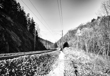 Randonnée A pied Vielsalm - Vielsalm jaune - Photo