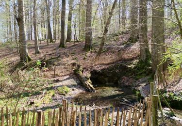 Excursión Senderismo Auderghem - Oudergem - Rouge-Cloître & Jardin Massart (extension) - Photo