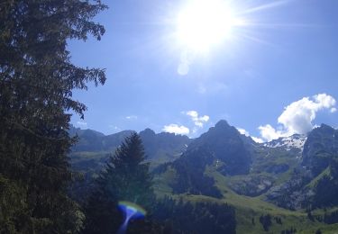 Trail Mountain bike Le Grand-Bornand - Le_Grand_Bornand_20200623_090207 - Photo