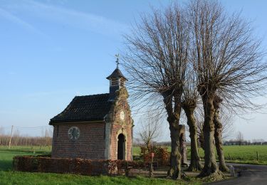 Tour Zu Fuß Hamme - Durmeboorden - Photo