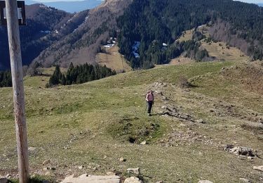 Trail Walking La Pesse - La Pesse Merle-Nerbier - Photo