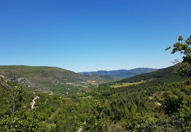 Tour Wandern Lauroux - Lauroux - Photo