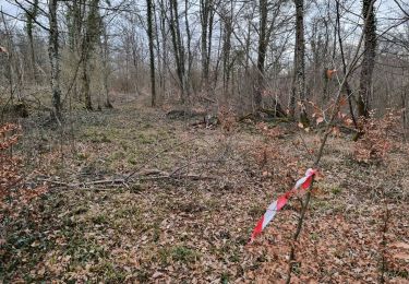 Trail Walking Vouthon-Bas - Tour le + long actuel circuit - Photo