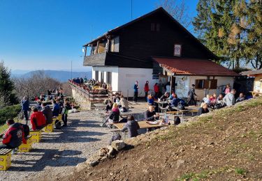 Tour Zu Fuß  - Noršić Selo - Katin krč - Photo