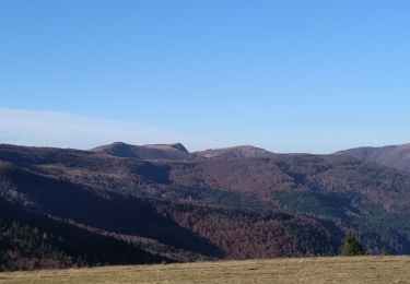 Randonnée Marche Oderen - Entre le Hahnenbrunnen et le Nonselkopf - Photo