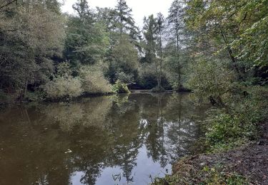 Trail Walking Esneux - Esneux Mary . Amostrenne .Hout si Plout . Bonsgnée . La Salle . Lagrange .Rond Bati . Esneux Mary - Photo