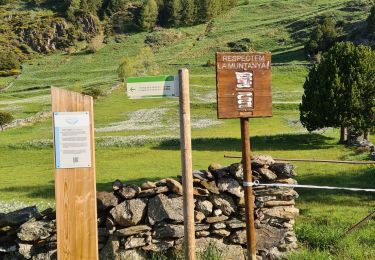 Trail Walking  - val del Riu Reco 2024-06-04 - Photo