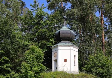 Tocht Te voet Gemeinde Zwettl-Niederösterreich - Vabindaweg 57d - Photo