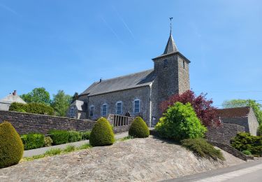 Tocht Stappen La Roche-en-Ardenne - Sanree 300523 - Photo