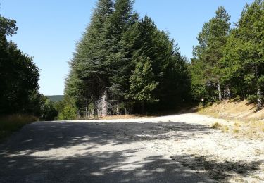 Tocht Stappen Aurel - belvedere les laouses chapelle des anges et abris col de la frache  - Photo