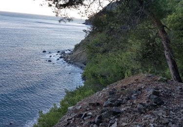 Percorso Sentiero La Seyne-sur-Mer - fabregas, sémaphore du cap Sicié. sentier du littoral  - Photo