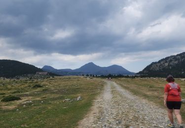 Excursión Senderismo Les Angles - lacs des bouillouses - Photo