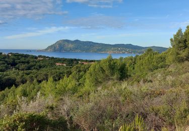 Tour Wandern Saint-Mandrier-sur-Mer - Rando douce St Elme Ste Asile - Photo