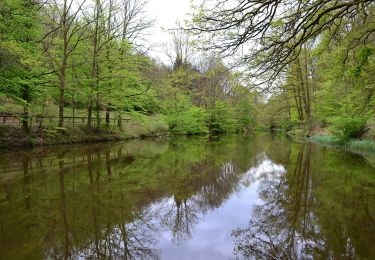 Excursión A pie Sturzelbronn - Sentier paysager passe-frontière n°4 - Photo