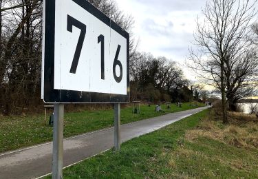 Percorso A piedi Dormagen - Zons Rundweg A12 - Photo