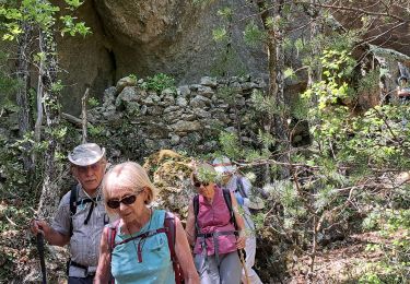 Trail Walking Mazaugues - N2 MAZAUGUES - Photo
