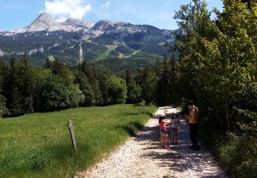 Trail Walking Corrençon-en-Vercors - La glacière-Corençon - Photo