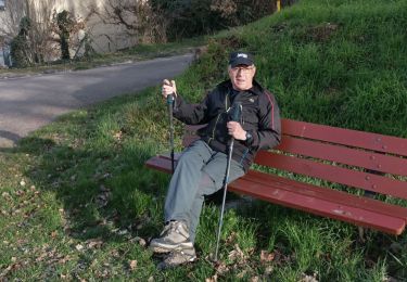 Trail Walking Prugny - Randonnée club Vauchassis - Photo