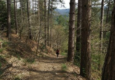 Randonnée Marche Trooz - nessonvaux - Photo