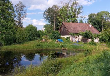 Trail Walking Servance-Miellin - 20230616 la petite Finlande  - Photo