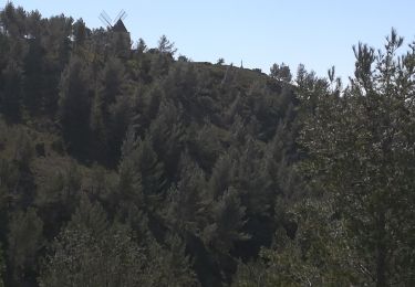 Tocht Stappen Boulbon - Boulbon-abbaye St Michel de Frigolet (le 21-03-2021) - Photo