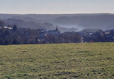 Trail Walking Bouillon - Rochehaut 211221 - Photo