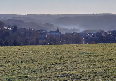 Randonnée Marche Bouillon - Rochehaut 211221 - Photo