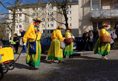 Trail On foot Lutterbach - Promenade circulaire - Noennenbruch - Anneau rouge - Photo