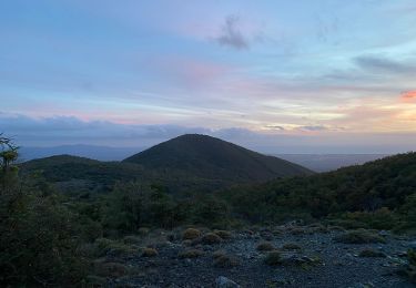 Trail On foot Castellina Marittima - Sassi Bianchi Trekking - Photo