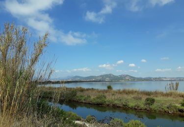 Tour Wandern Hyères - La Badine sentier côtier Hyères  - Photo