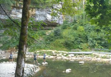 Trail Mountain bike Le Frasnois - Jura - Boucle des 5 lacs  - Photo