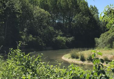 Excursión Senderismo Vallant-Saint-Georges - Boucle entre canal et champs - Photo