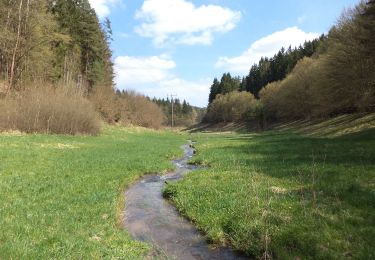 Excursión A pie Forst Aura - Roter Schmetterling, Rundwanderweg Emmerichsthal - Photo