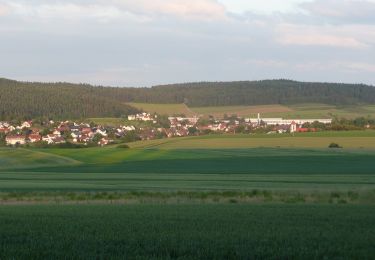 Tocht Te voet Waldachtal - Rundwanderweg 1 - Oberes Waldachtal - Photo