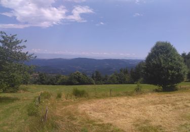 Tocht Stappen Nozières - Autour de Nozières - Photo