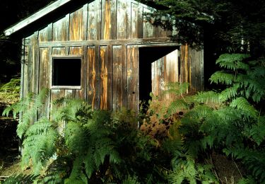 Randonnée A pied Montoulieu - La cabane des gardes - Photo