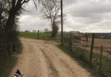 Tour Zu Fuß Canterbury - Canterbury Outer Ring Walk - Photo