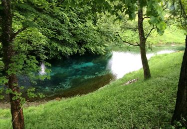 Randonnée A pied Gemeinde Erl - Schönau-Runde - Photo