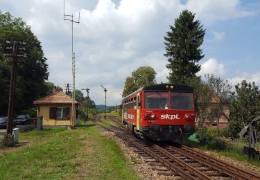 Tocht Te voet Kulaszne - Śladami dobrego wojaka Szwejka - Photo