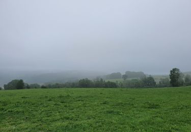 Tour Wandern Aywaille - rando houssonloge 23/06/2021 - Photo