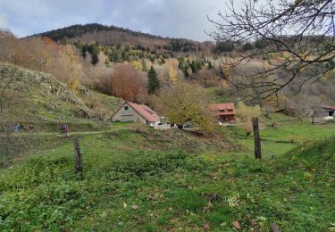 Excursión Senderismo Sewen - Sewe Baerenbach  - Photo